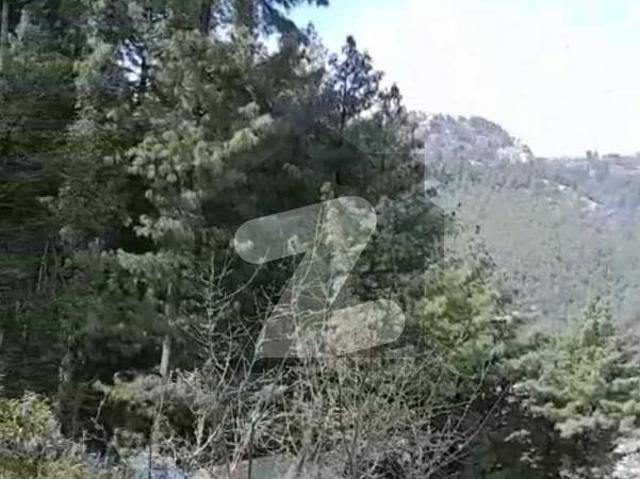 Property for sale in Murree, Islamabad Capital Territory