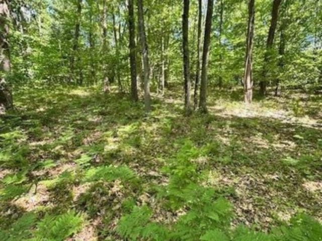 Land for sale in Big Rapids, Michigan