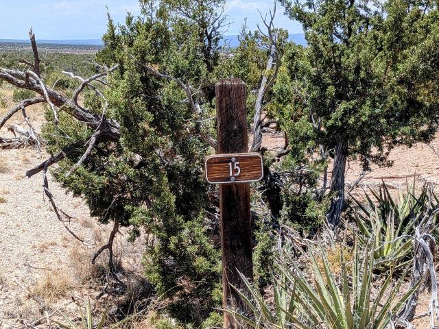 Land for sale in Mountainair, New Mexico