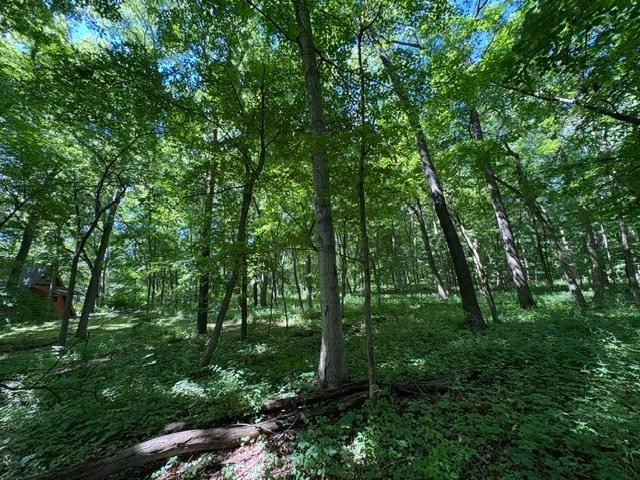 Land for sale in Putnam, Illinois