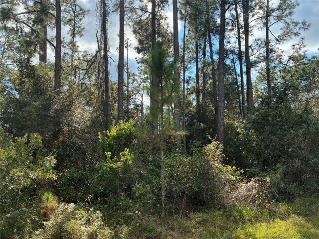 Land for sale in Indian Lake Estates, Florida