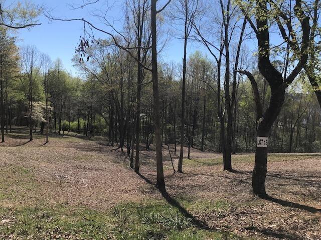 Land for sale in Tennessee