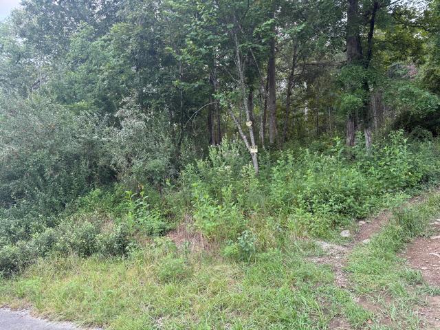 Land for sale in Somerset, Kentucky