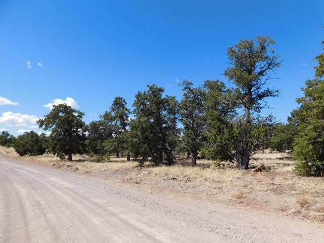 Land for sale in Catron, New Mexico