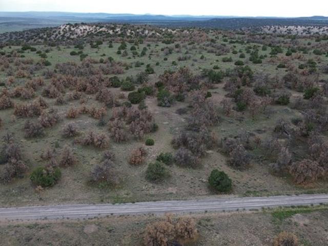 Land for sale in Catron, New Mexico
