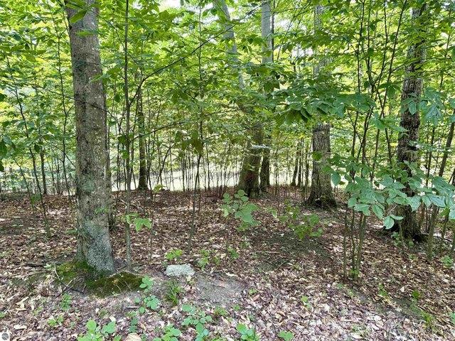 Land for sale in Empire, Michigan