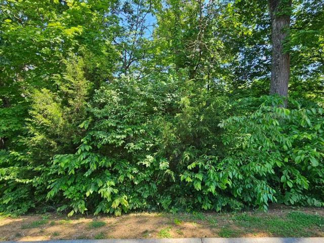 Land for sale in Tennessee