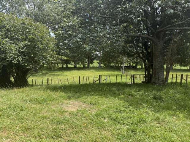 Property for sale in Putaruru, Waikato