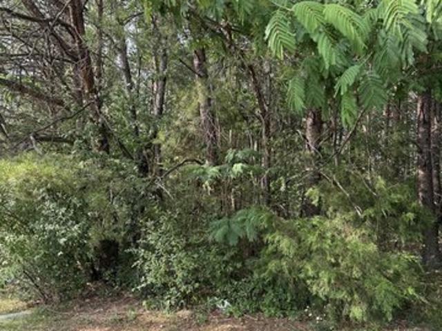 Land for sale in Tennessee