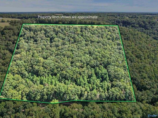 Land for sale in New Hope, Alabama
