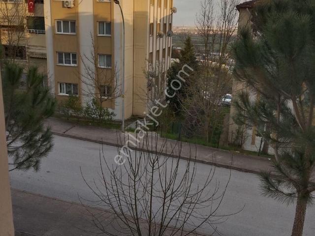 Adapazari, Sakarya içerisinde satılık mülk