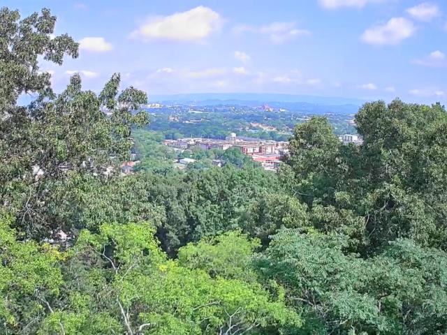 Land for sale in Fort Cheatham, Chattanooga