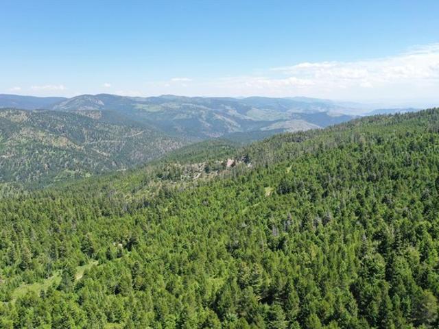 Land for sale in Granite, Montana