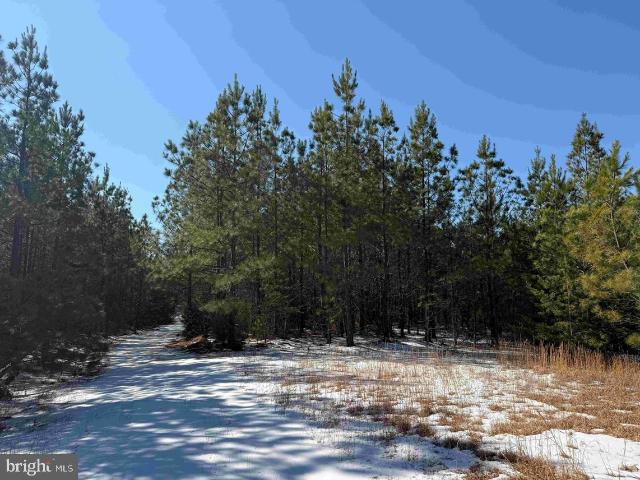 Land for sale in Virginia