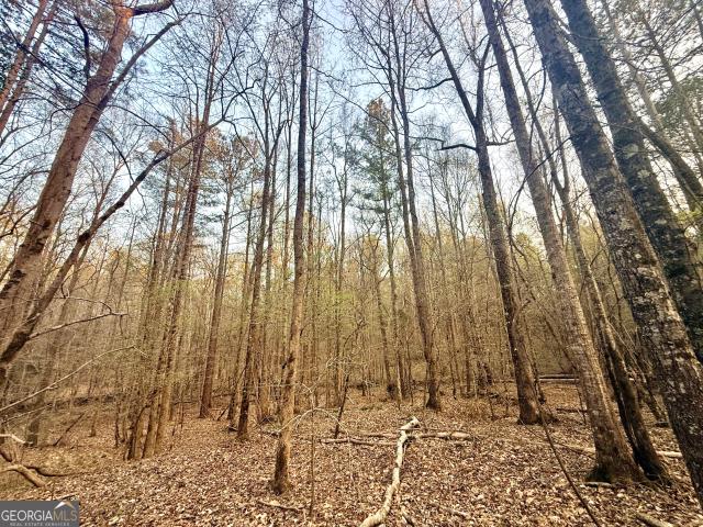 Land for sale in Elbert, Georgia