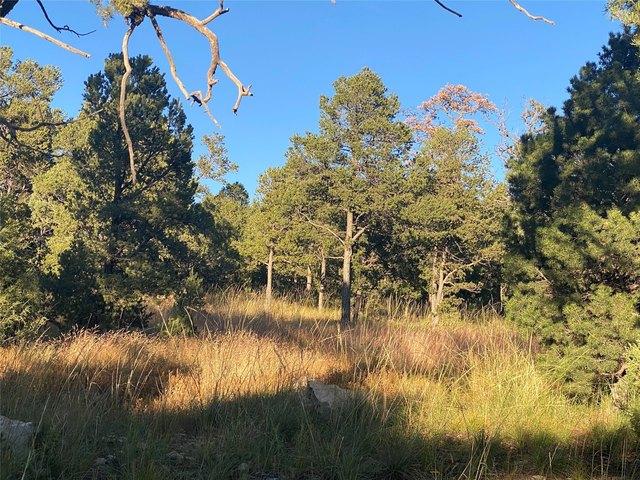 Land for sale in Pecos, San Miguel County