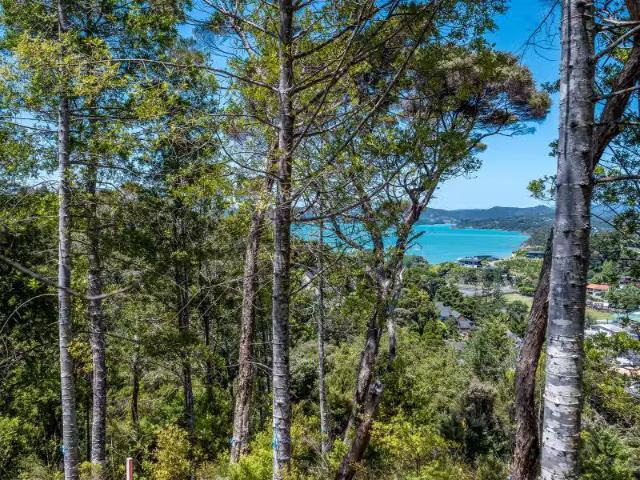 House for sale in Karetu, Northland