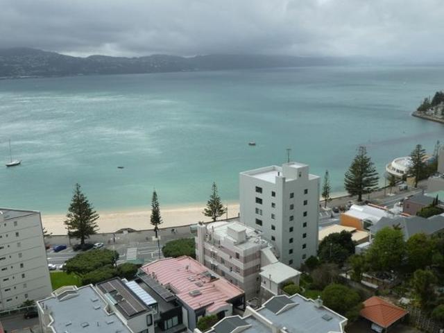 Apartment for rent in Oriental Bay, Wellington