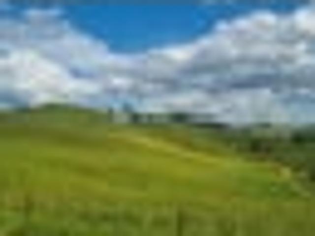Land for sale in Karetu, Northland