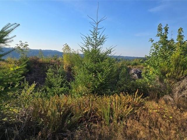 Land for sale in Orting, Washington