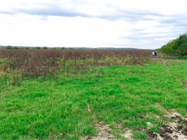 Farm for sale in Texas