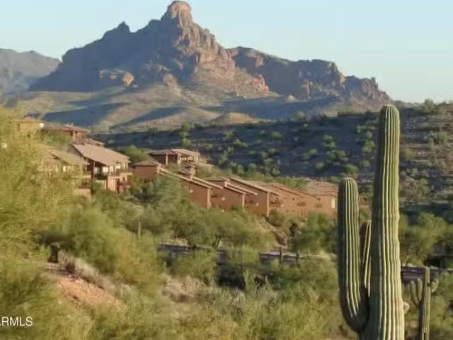 House for rent in Fountain Hills House for rent in Fountain Hills