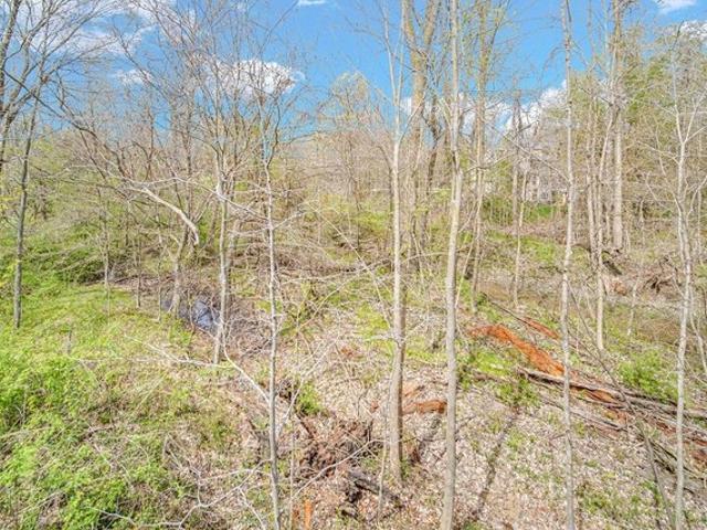 Land for sale in Porter, Indiana