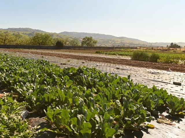 Land for sale in Morgan Hill, California