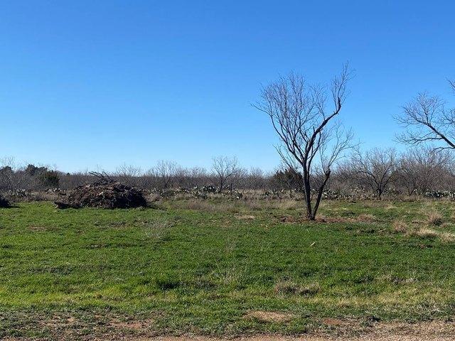 Land for sale in Robert Lee, Coke County