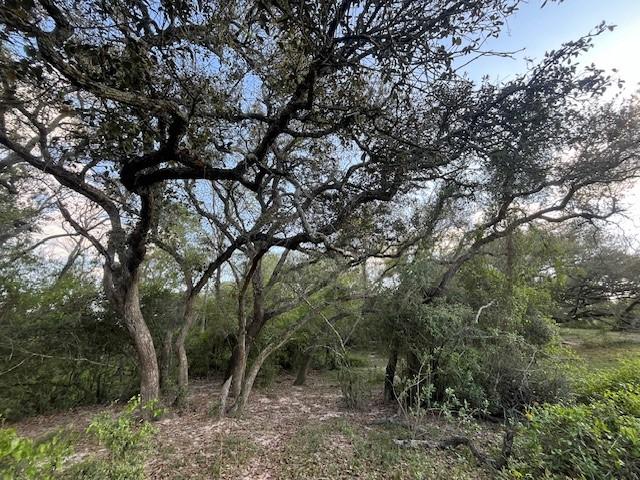 Land for sale in Altair, Texas