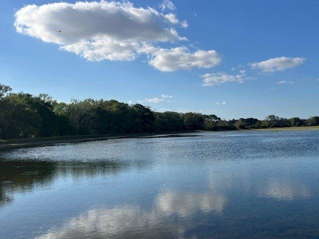 Land for sale in Altair, Texas