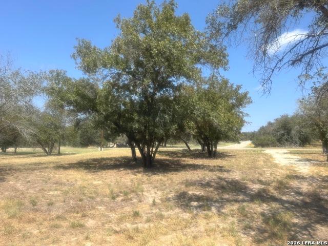 Land for sale in Natalia, Medina County