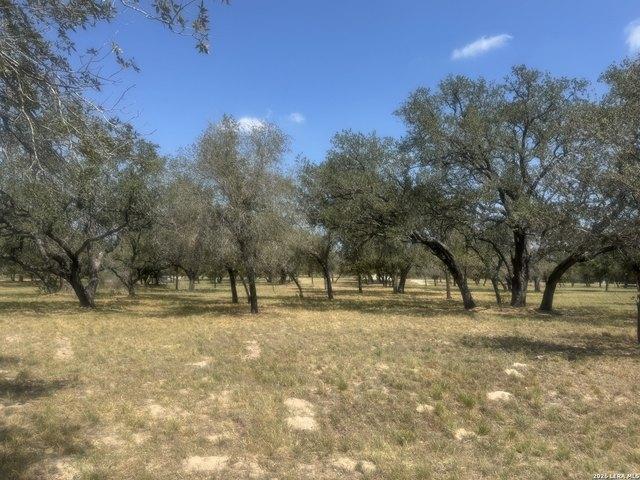 Land for sale in Natalia, Medina County