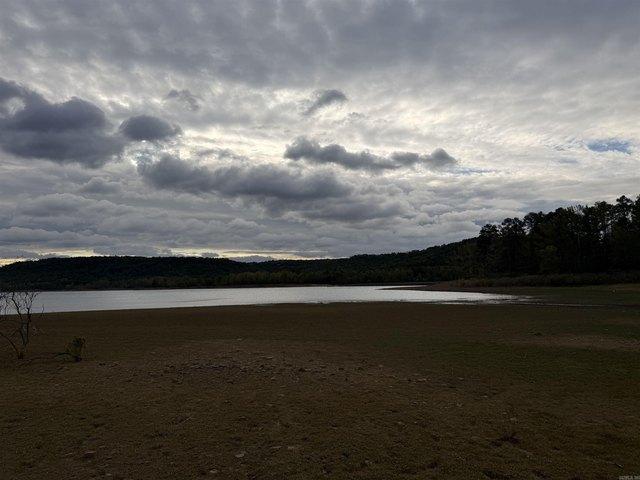 Land for sale in Quitman, Cleburne County