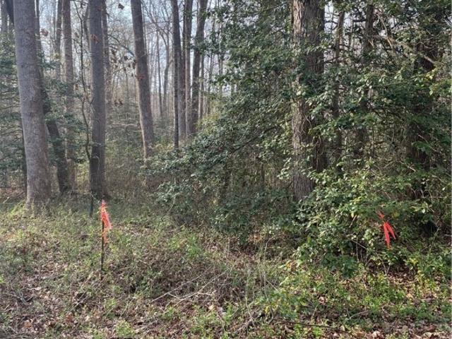 Land for sale in Virginia