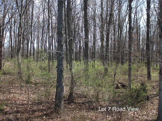 Land for sale in Cynthiana, Kentucky