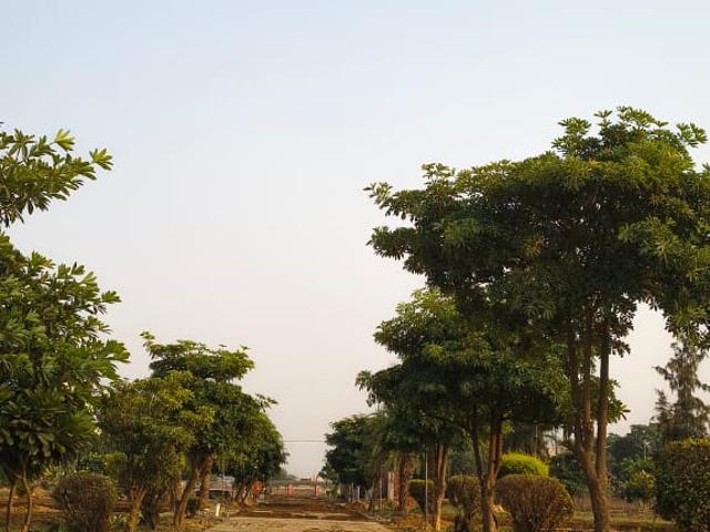 Land for sale in Aligarh, Arunachal Pradesh