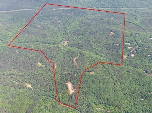 Land for sale in Bartow, Georgia