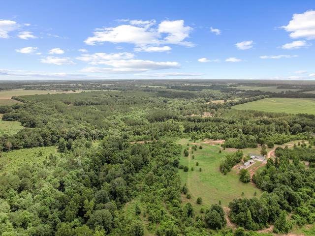 Land for sale in Newton, Alabama