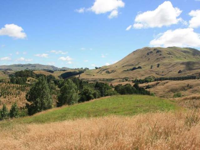 Property for sale in Havelock North