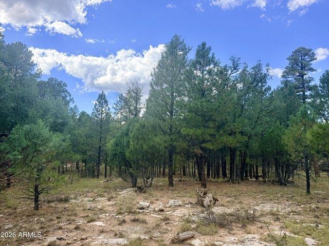 Land for sale in Happy Jack, Coconino County