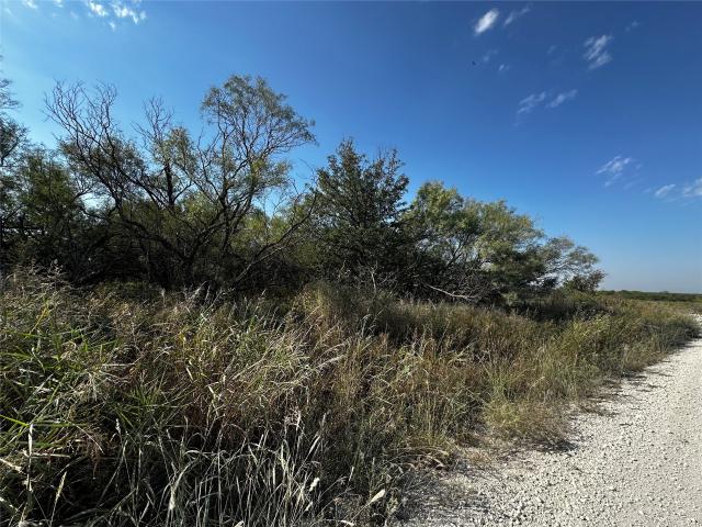 Land for sale in Ringgold, Texas