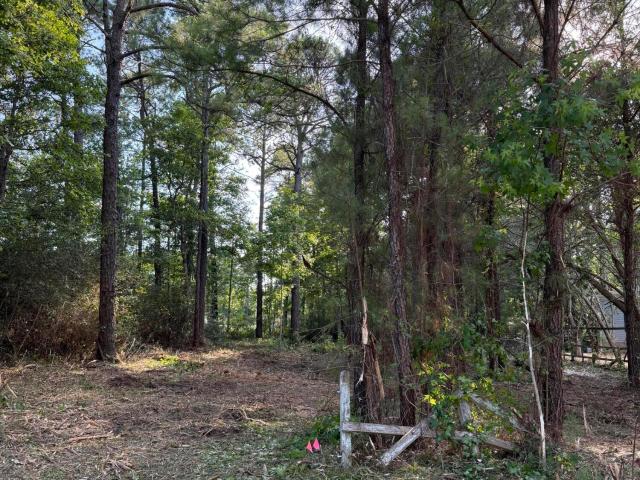 Land for sale in Ocean Isle Beach, Brunswick County