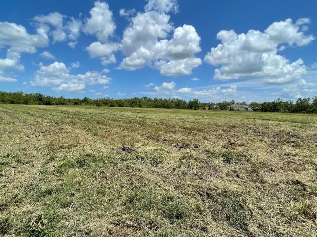 Land for sale in Texas