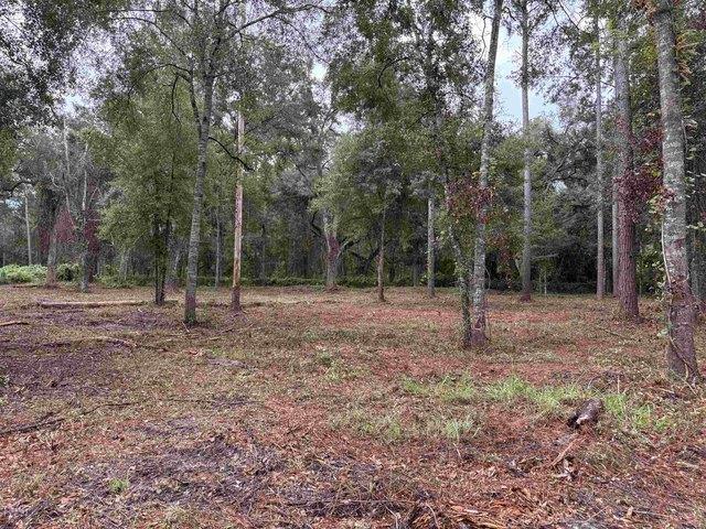 Land for sale in Monticello, Florida