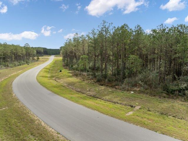 Land for sale in Willis, Texas