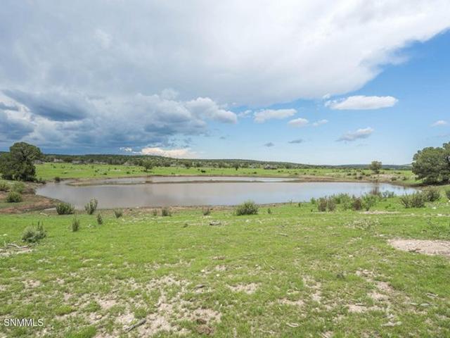 Farm for sale in New Mexico