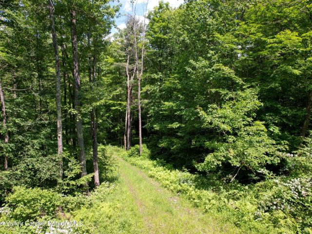 Land for sale in New York