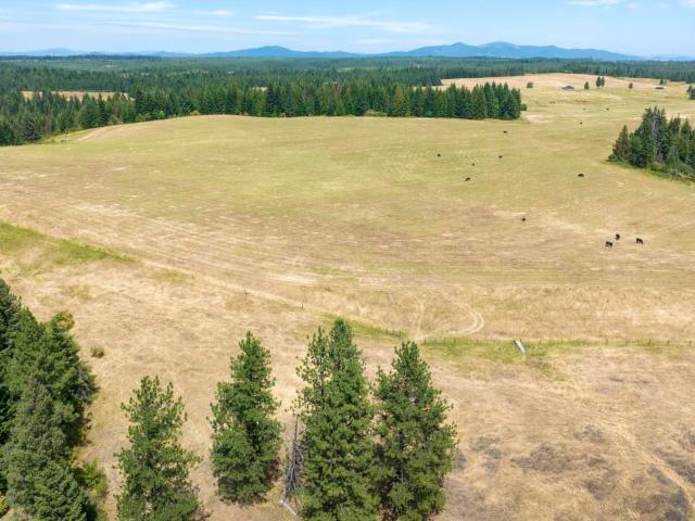 Property for sale in Weippe, Idaho