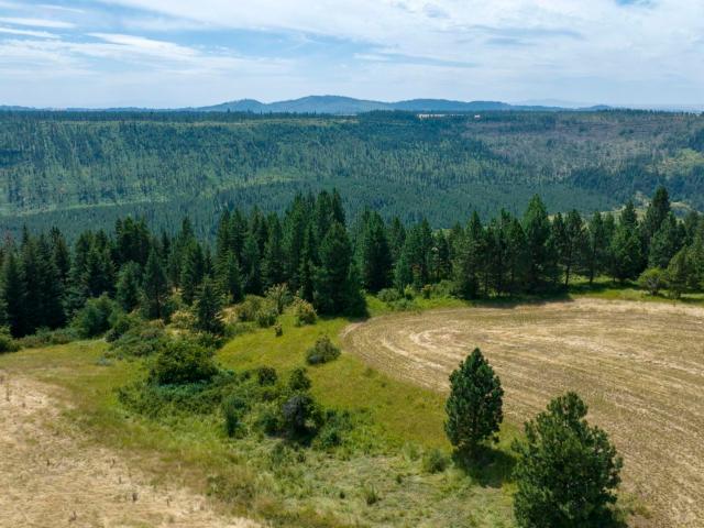Property for sale in Weippe, Idaho